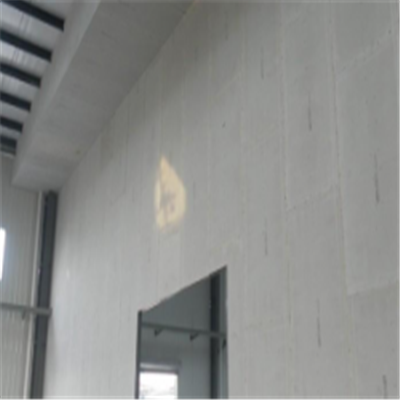 九台宁波ALC板|EPS加气板隔墙与混凝土整浇联接的实验研讨